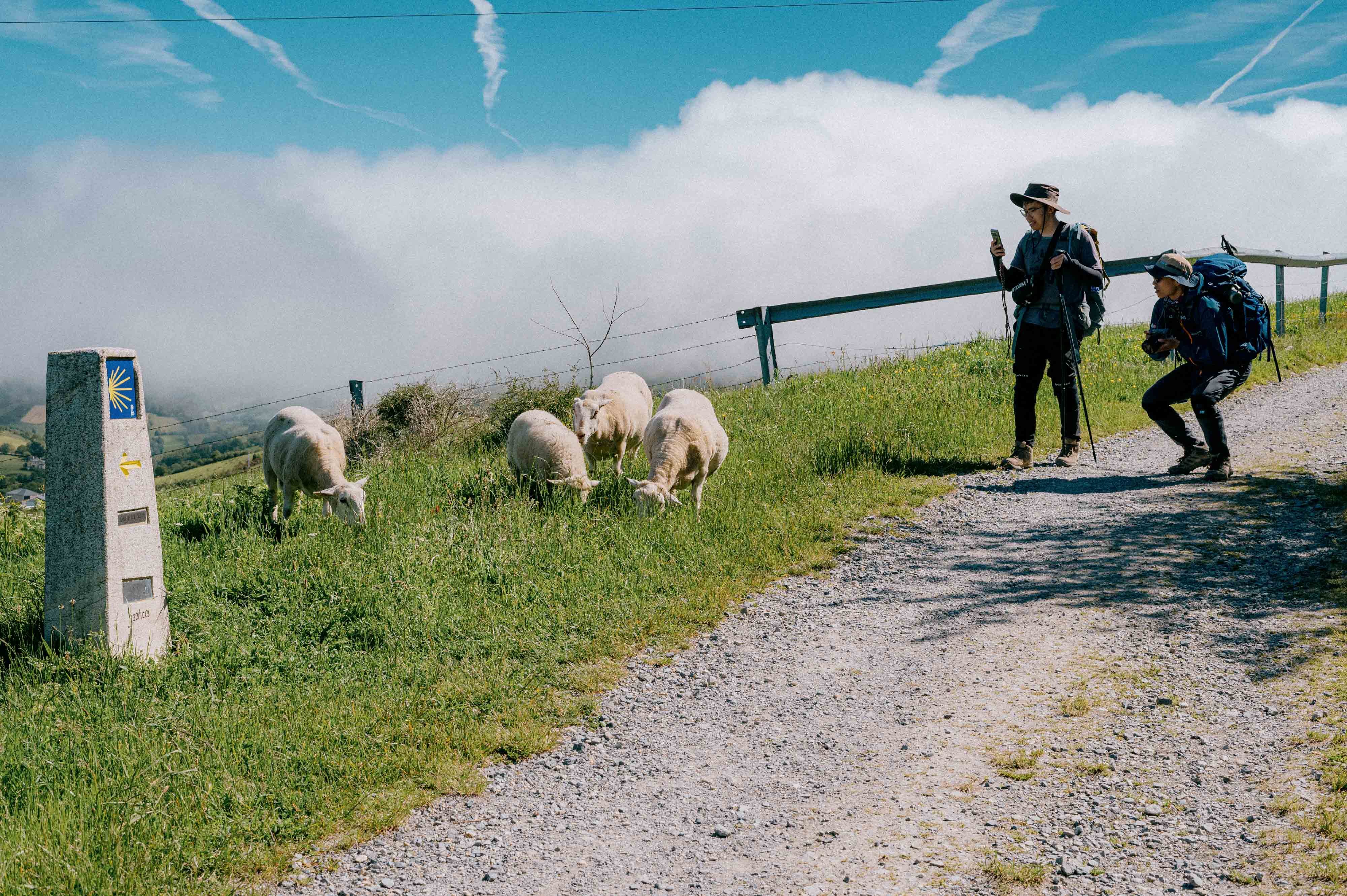 240530_StKierans_CaminodeSantiago_RyanBrady_0101