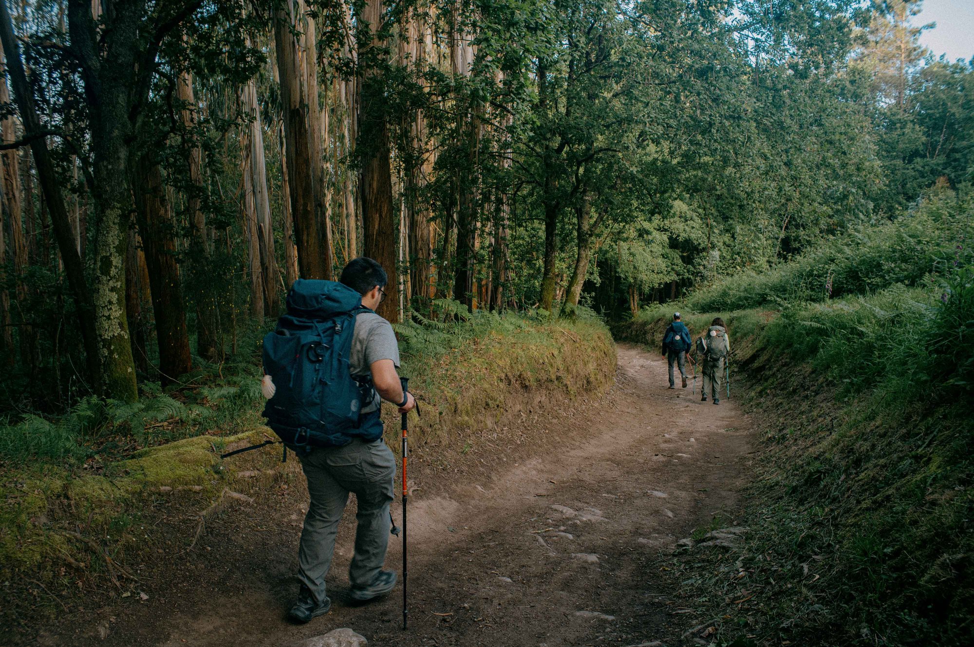 240603_StKierans_CaminodeSantiago_RyanBrady_0145