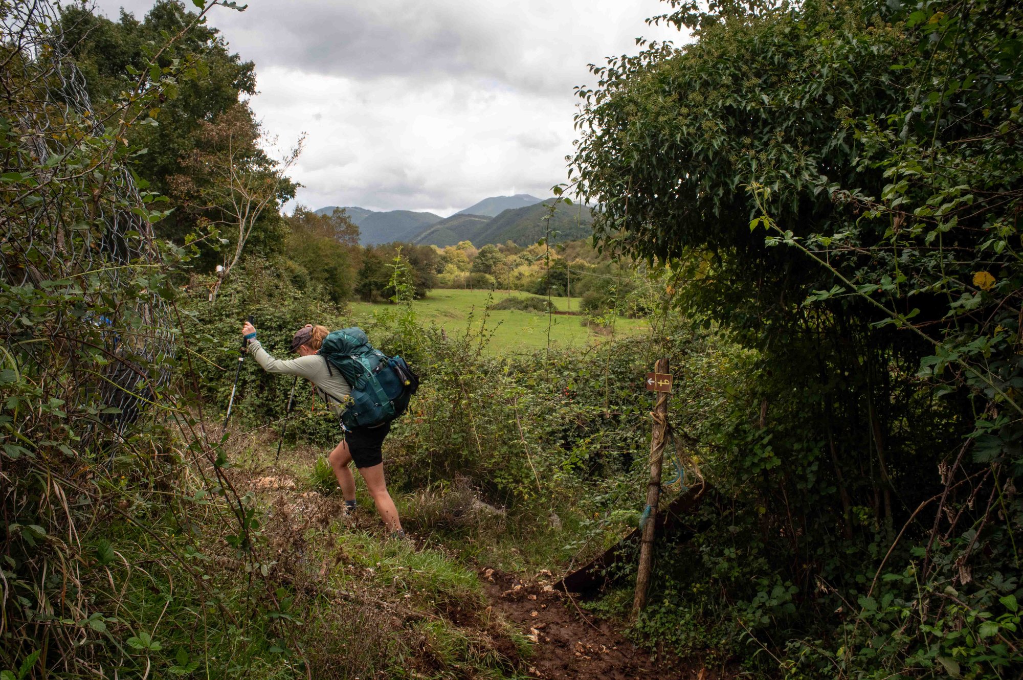 BradyR_VB-websize_0004